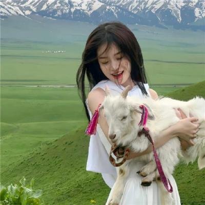 玫瑰楼迷影